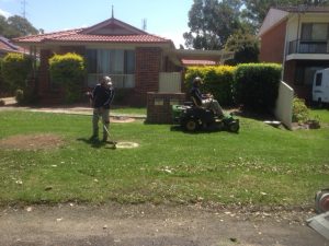 central-coast-lawnmowing-1